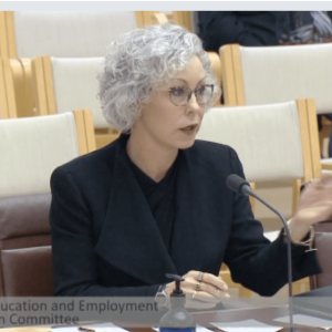 Senate Committee hearing into student caps